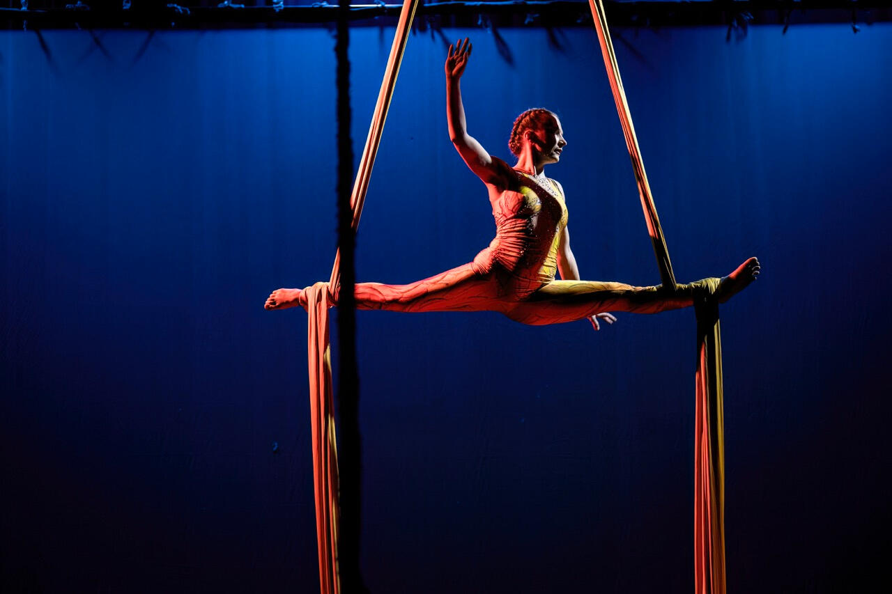 Vojtěch Brtnický, Divadlo BRAVO! 2025