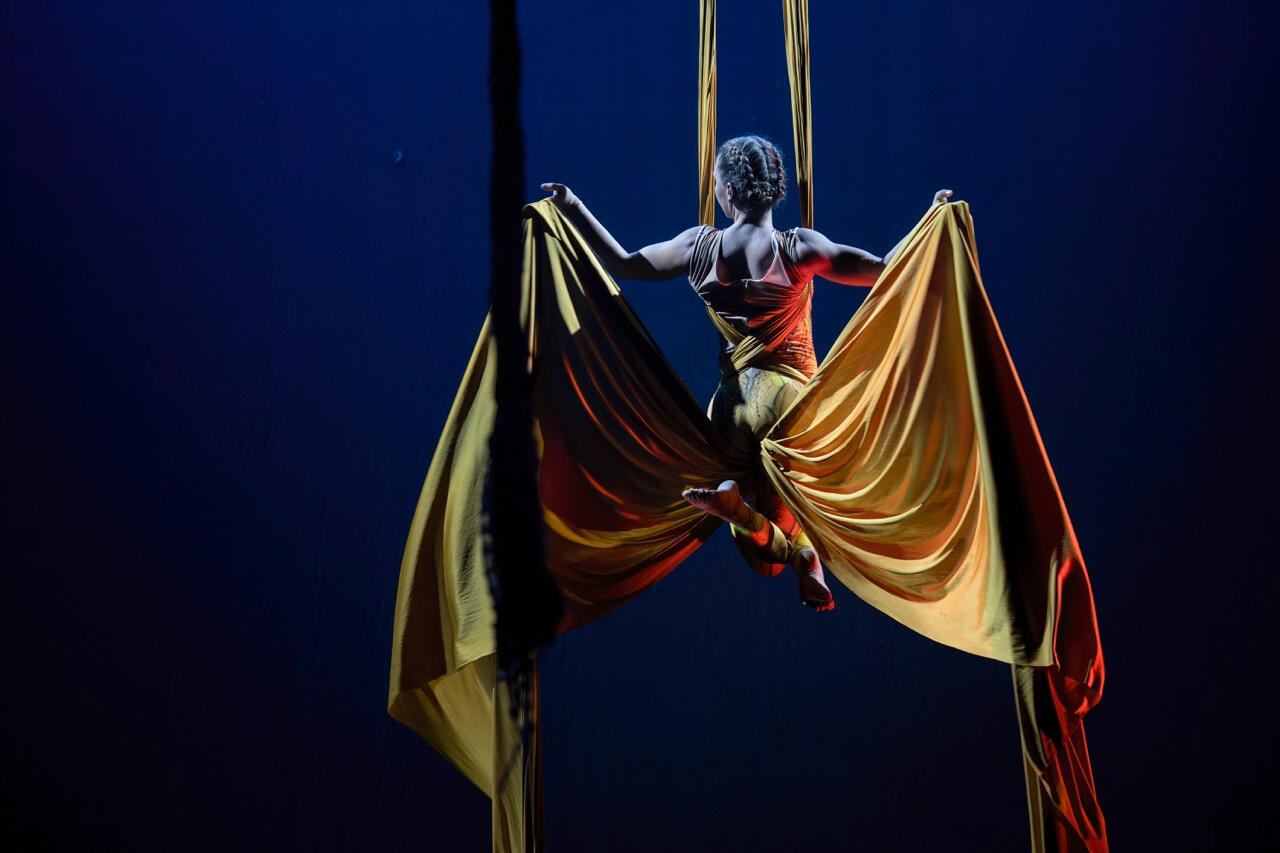 Vojtěch Brtnický, Divadlo BRAVO! 2025